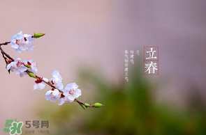 立春后種什么花？立春時開的花有哪些？
