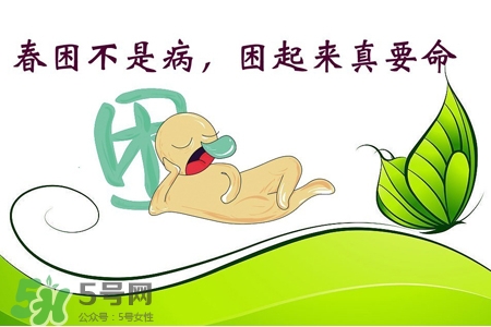 春困開車怎么辦？春天開車易犯困怎么辦？