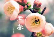 立春后種什么花？立春時(shí)開的花有哪些？