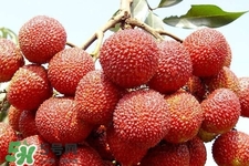 孕期吃荔枝會流產(chǎn)嗎？孕婦吃荔枝會好嗎？