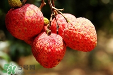 坐飛機(jī)能帶荔枝嗎？荔枝可以帶上飛機(jī)嗎？