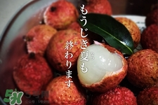 坐飛機(jī)能帶荔枝嗎？荔枝可以帶上飛機(jī)嗎？