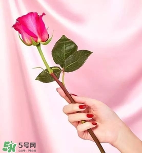 kate spade2017情人節(jié)包包多少錢？凱特絲蓓2017情人節(jié)包包哪里買？