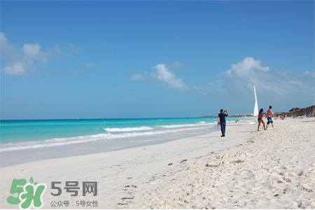 3月份適合去哪里旅游？三月份去哪里旅游好？