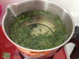 香菜煮水洗腎是真的嗎？香菜煮水洗腎是真的嗎