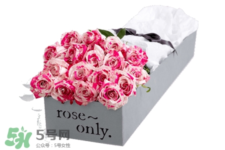 roseonly是什么花？roseonly是真花還是假花？