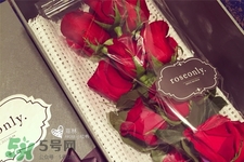 roseonly鮮花怎么保養(yǎng)？roseonly永生花怎么保養(yǎng)？
