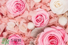 情人節(jié)一般送幾朵花？情人節(jié)送多少朵花好？