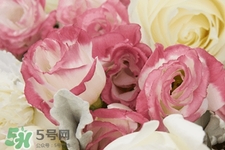 七夕情人節(jié)有必要送花嗎？情人節(jié)為什么要送花？