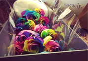roseonly鮮花多少錢？roseonly永生花多少錢？