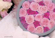 roseonly只能買一次嗎？roseonly如何送第二人？