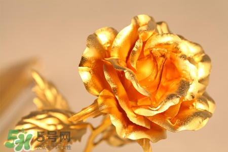 情人節(jié)可以送金玫瑰嗎？情人節(jié)送金玫瑰好嗎？