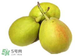 香梨多少錢一斤？香梨怎么挑選？