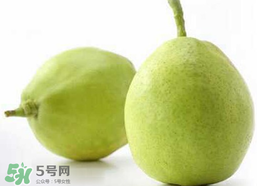 香梨多少錢一斤？香梨怎么挑選？