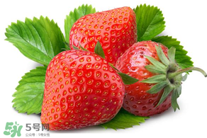 小孩多吃草莓好嗎？小孩可以摘草莓嗎？