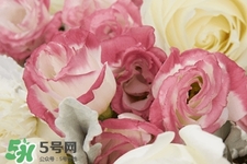 鮮花怎么養(yǎng)？鮮花怎么養(yǎng)放的比較久？
