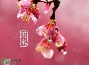 雨水吃什么？雨水節(jié)氣飲食禁忌？