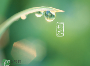 雨水吃什么？雨水節(jié)氣飲食禁忌？