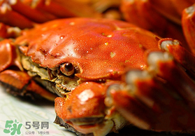 春天的螃蟹能吃嗎？開春后大閘蟹能吃嗎？