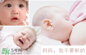 春天可以斷奶嗎？春天幾月份斷奶比較好？