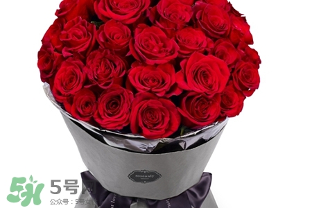 玫瑰花放在水里怎么養(yǎng)？玫瑰花插水里怎么養(yǎng)？