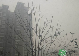 霧霾天開空調會不會污染室內空氣？