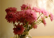 鮮花怎么養(yǎng)？鮮花怎么養(yǎng)放的比較久？