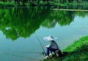 春天釣魚(yú)用什么餌料？春天釣魚(yú)用腥還是香？
