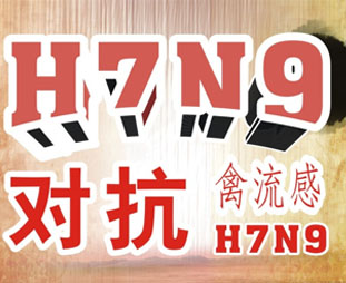 禽流感期間吃什么？預防禽流感吃什么好？