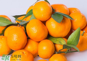 桔子批發(fā)多少錢一斤？桔子多少錢一斤？