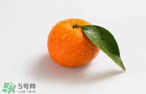 桔子批發(fā)多少錢一斤？桔子多少錢一斤？