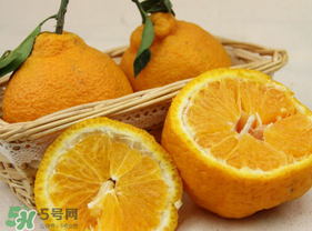 丑橘少錢一斤？丑橘一斤幾個(gè)？