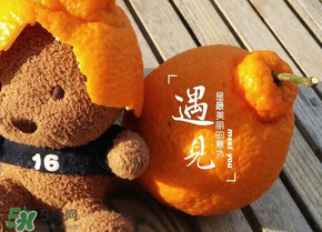 丑橘少錢一斤？丑橘一斤幾個(gè)？