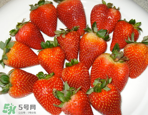 奶油草莓是什么品種？奶油草莓和巧克力草莓的區(qū)別 