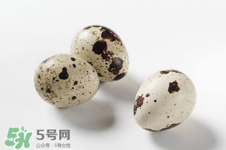 禽流感可以吃鵪鶉蛋嗎？禽流感期間能吃鵪鶉蛋嗎？