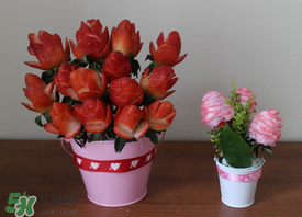草莓花束怎么做？草莓花束怎么扎起來？