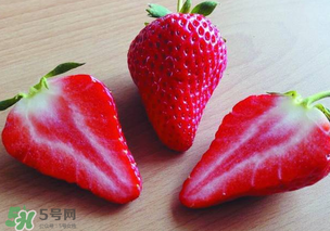 九九草莓多少錢一斤？99草莓價格是多少？