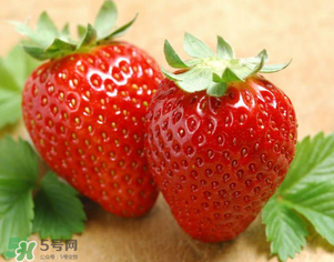 九九草莓好嗎？九九草莓和牛奶草莓區(qū)別