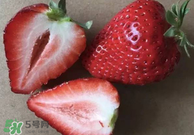 草莓空心能吃嗎？草莓空心怎么回事？