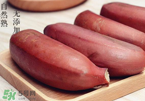紅色香蕉和黃香蕉哪個好？紅香蕉和普通香蕉的區(qū)別