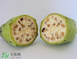 野香蕉可以吃嗎？野香蕉怎么吃？