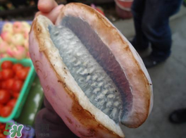 野香蕉可以吃嗎？野香蕉怎么吃？