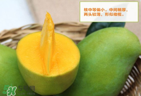青芒果硬的能吃嗎？青芒果沒熟能吃嗎？