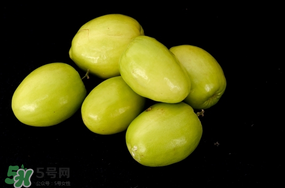 青棗什么時候上市？青棗什么時候成熟？