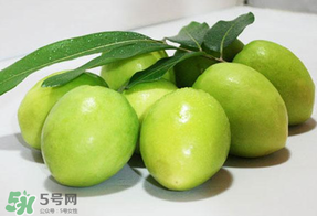 青棗什么時候上市？青棗什么時候成熟？