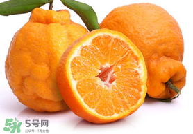丑橘是轉(zhuǎn)基因嗎？丑八怪是轉(zhuǎn)基因的嗎？