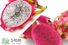 3月份有火龍果吃嗎？三月份可以吃火龍果嗎？