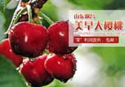 美早和黑珍珠哪個(gè)好吃？美早和黑珍珠的區(qū)別