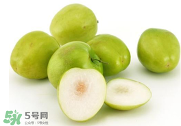 青棗可以泡酒嗎？青棗泡酒喝有什么好處？