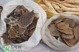 穿山甲下奶怎么吃？穿山甲下奶效果好嗎？